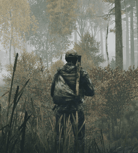 Logo du jeu DayZ