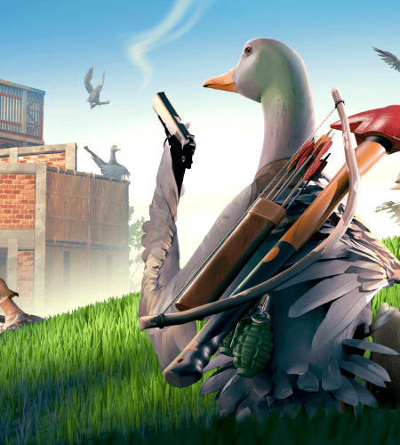 Logo du jeu Duckside
