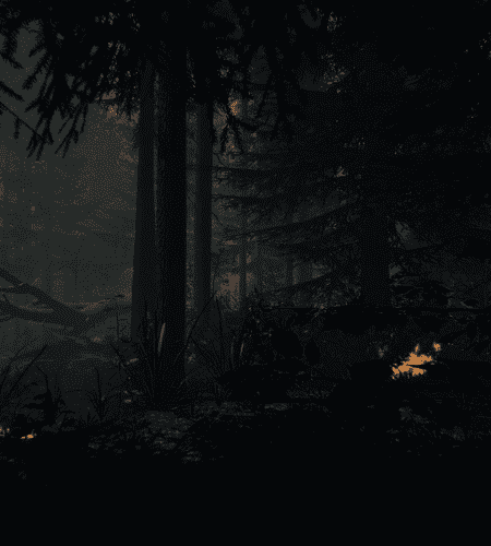 Logo du jeu The Forest