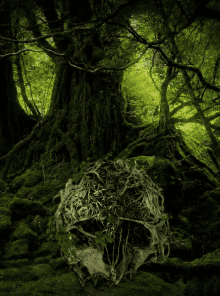 The Forest serveurs privés