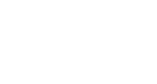 VEIN logotype