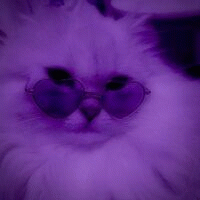 Avatar de TiTan_119896