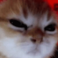 Avatar de ninteli