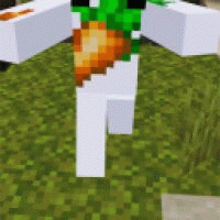 Avatar de coraciel__93046