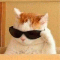 Avatar de bubbletitou