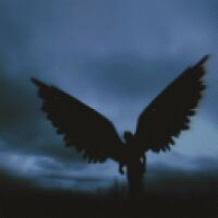 Avatar de user_149520