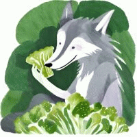 Avatar de Loukoumeuh