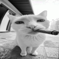 Avatar de Eroxz7