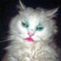 Avatar de Sudylac
