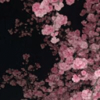 Avatar de user_171485