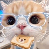 Avatar de user_173542