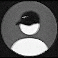 Avatar de Nolan_179834
