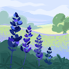 Avatar de Lily_181333