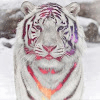 Avatar de Travis_182313