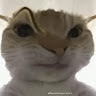 Avatar de IBRAHIM_183478