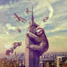Avatar de Albert_184927