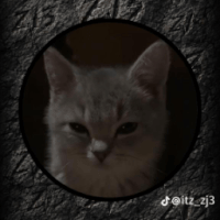 Avatar de mars59173