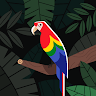 Avatar de Jergo