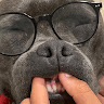 Avatar de Kalim