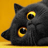 Avatar de Fabien_187982