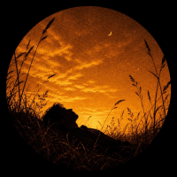 Avatar de MisterFrench_