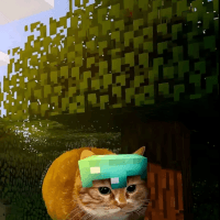 Avatar de zebrotor__