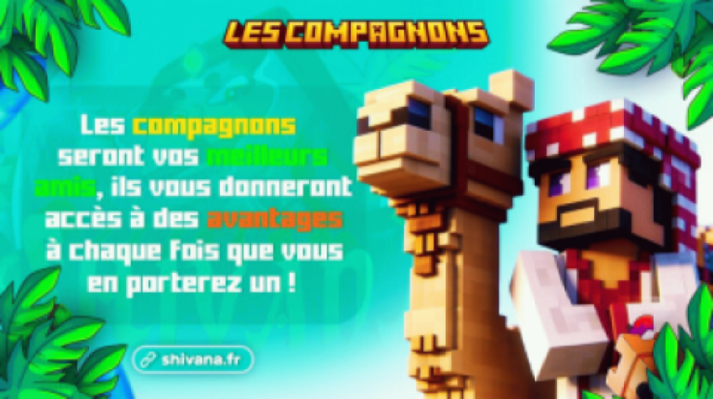 Image de présentation
