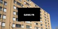 Miniature du serveur GANG FR