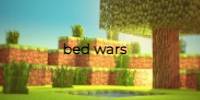Miniature du serveur bed wars mania