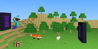 Miniature du serveur CubeFox
