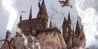 Miniature du serveur Hogwart- RP-FR