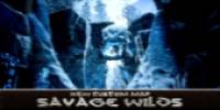 Miniature du serveur Le nouveau continent (Fr/ RP Vocal/PVP