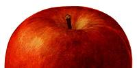 Miniature du serveur La Grosse Pomme