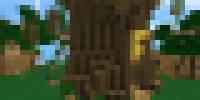 Miniature du serveur Forest PvP