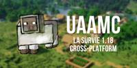 Miniature du serveur uaaMC  SURVIE 1.18 | JAVA + BEDROCK