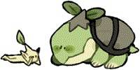 Miniature du serveur PKMN Bloom Go