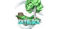 Miniature du serveur sky block moux