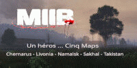Miniature du serveur MIIB