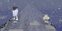 Miniature du serveur Snow