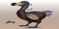 Miniature du serveur [FR] Dodo Wars