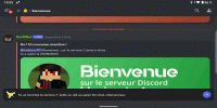 Miniature du serveur Communauté codexxu1111 mcpe