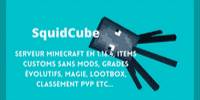 Miniature du serveur SquidCube