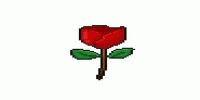 Miniature du serveur Rezvolution