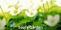 Miniature du serveur Soul's Garden
