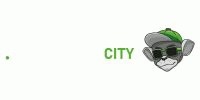 Miniature du serveur Radeon City