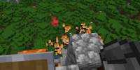 Miniature du serveur Mc anarchy