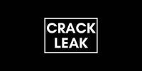 Miniature du serveur Crack/leak | Error404