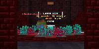 Miniature du serveur Medonia
