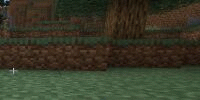 Miniature du serveur noobi team