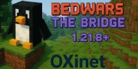 Miniature du serveur OXiNet
